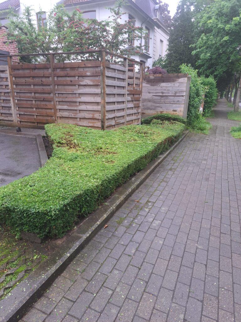 Entretien des parterres